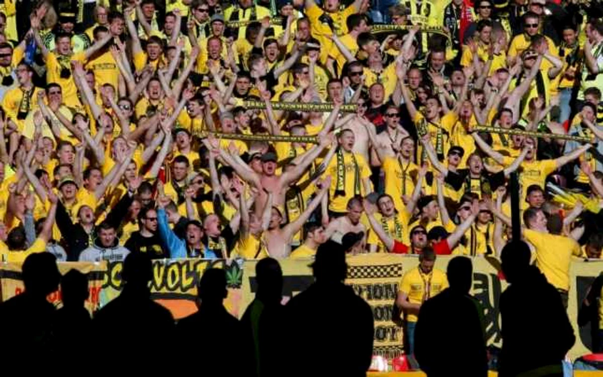 Lupii galbeni au făcut spectacol miercuri noaptea