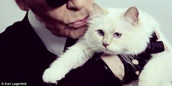 choupette karl lagerfeld