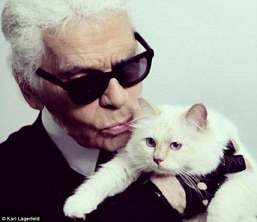 Karl Lagerfeld şi Choupette FOTO Instagram