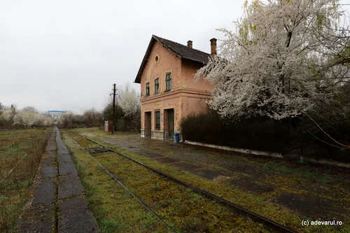 Calea ferată Hațeg Caransebeș  Foto Daniel Guță ADEVĂRUL (6) JPG