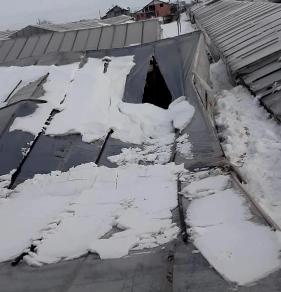 Solarii au cedat sub greutatea zăpezii FOTO: Lumea Satului/Facebook