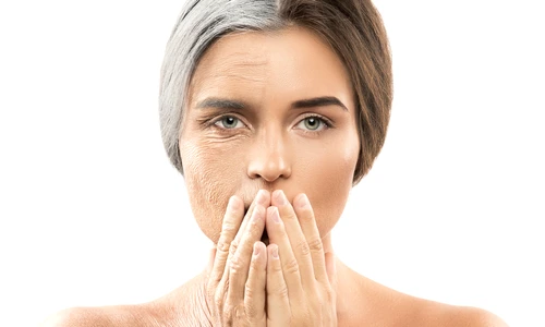 1 shutterstock 592780526 jpg jpeg