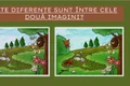 TEST DIFERENȚE jpg