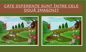 TEST DIFERENȚE jpg