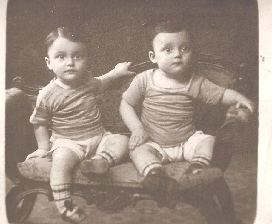 aurel si ionel rozei