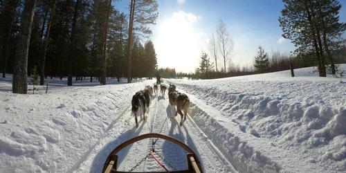 pexels lars ley 1147346 2531014 jpg