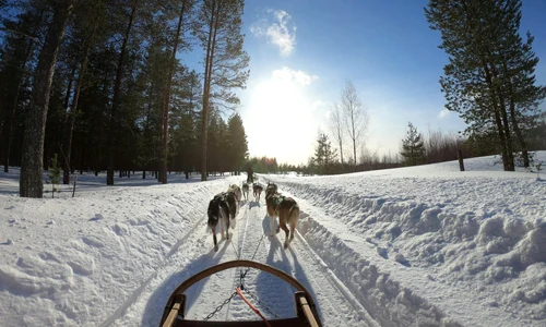 pexels lars ley 1147346 2531014 jpg