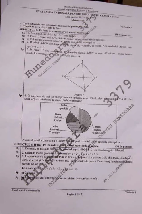 subiecte matematica