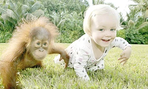 La patru ani    (Fotografii: Guliver / Rexfeatures) jpeg