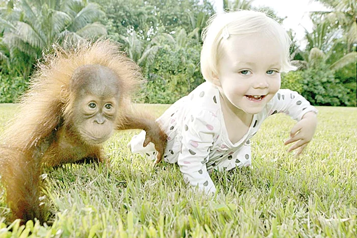 La patru ani... (Fotografii: Guliver / Rexfeatures)