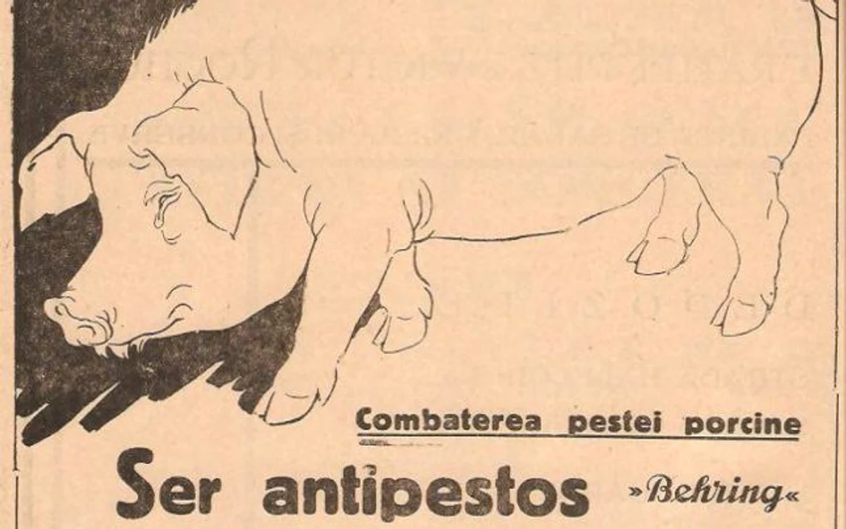 Combaterea pestei porcine în Revista Stiintelor Veterinare FOTO: Facebook Reclame Vechi Româneşti 1840-1995