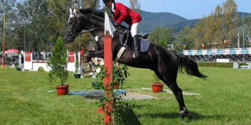Neamţ: Piatra Neamţ, capitala hipismului