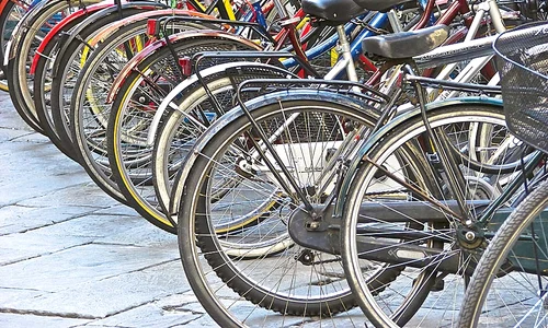 asigurare biciclete jpeg