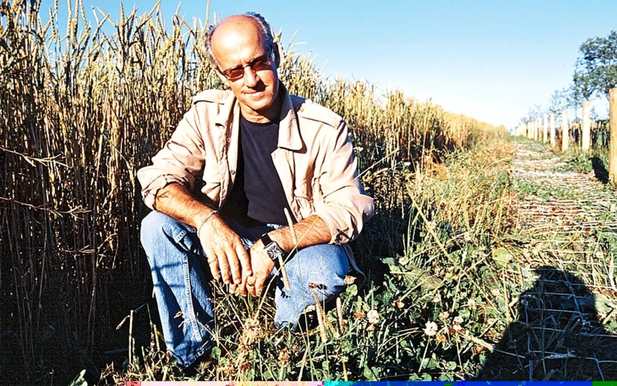 Roger Saul a devenit unul dintre cei mai importanţi producători de cereale din Marea Britanie. FOTO http://atowninsomerset.blogspot.ro