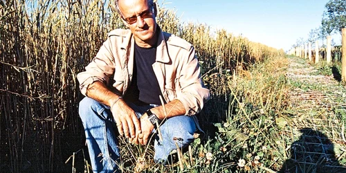 roger saul