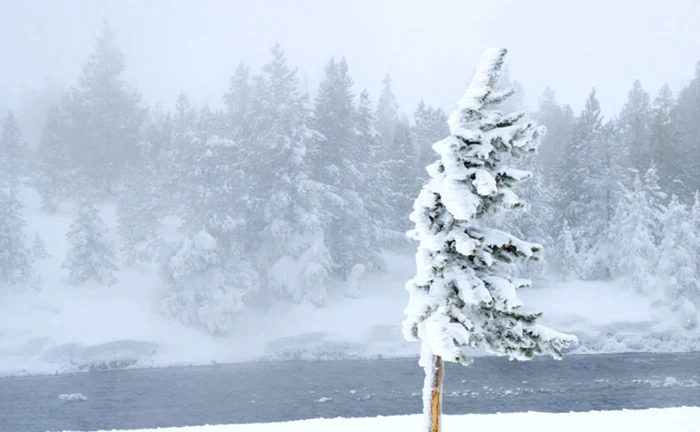 Iarnă-vortex polar FOTO: arhivă, Adevărul