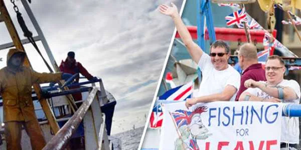 brexit pescuit