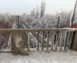 Podul Giuleşti Sârbi FOTO Eduard Enea