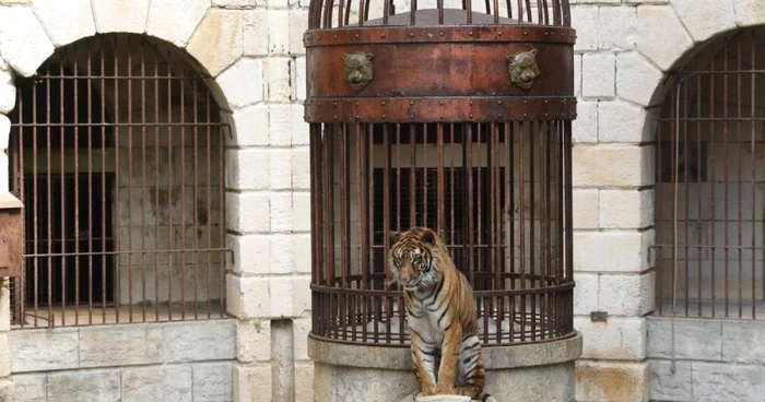 fort boyard foto pro tv