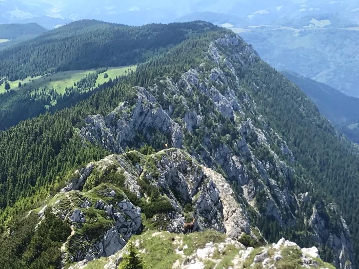 Spctaculosele trasee spre Marele Grohotiș şi Cerdacul Stanciului, arcada de intrare în cetatea naturală de stâncă a Pietrei Craiului