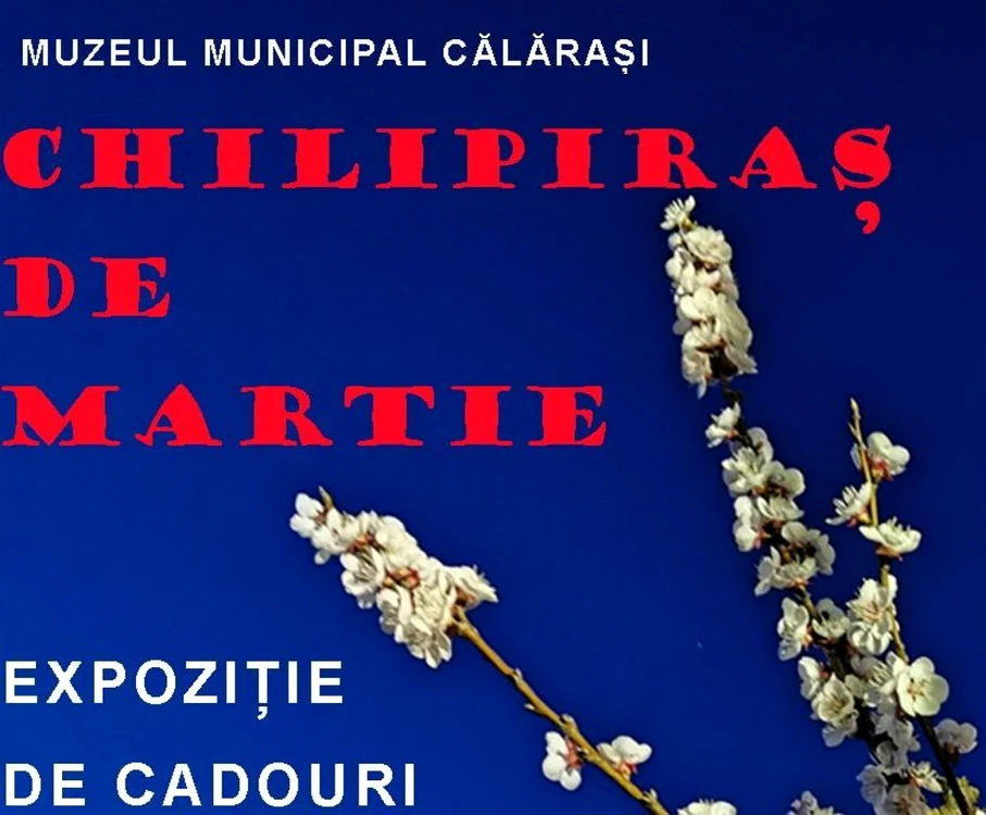 Expoziţie cu vânzare la Muzeul Municipal Călăraşi FOTO Facebook/MMC