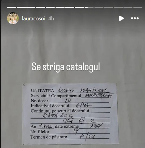 Imaginea postată de Laura Cosoi. Foto: captură Instagram