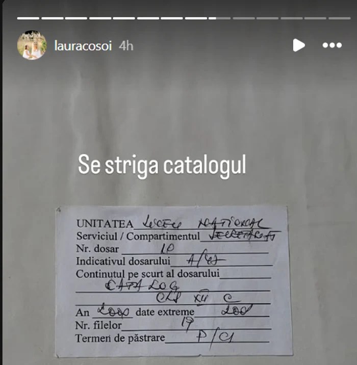 Imaginea postată de Laura Cosoi. Foto: captură Instagram 