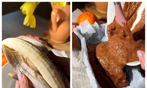 BeFunky collage   2026 02 02T213659 305 jpg