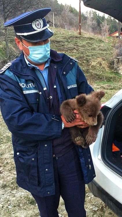 Imagine/Facebook Poliţia Română