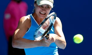 CLIIMA20100213 0110 1 jpeg