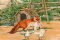 find dog jpg