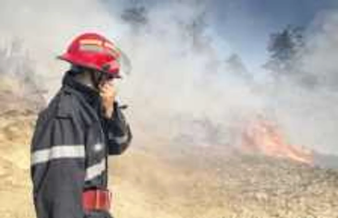 Un tanar s-a intoxicat incercand sa stinga incendiul care ameninta bisericuta din Bunesti