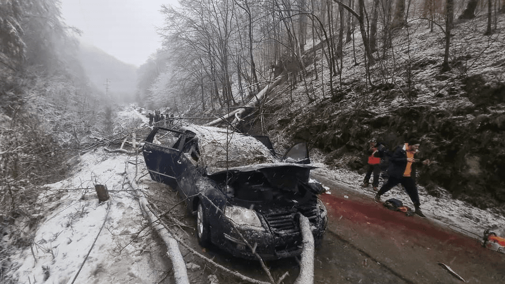 Tragedie în Caraș-Severin. Un copil a murit după ce un copac a căzut peste mașina în mers în care se afla cu părinții