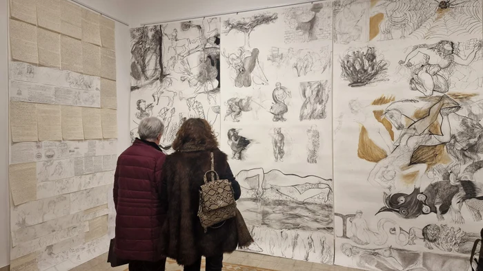 Accademia di Romania - expoziție Luminița Țăranu