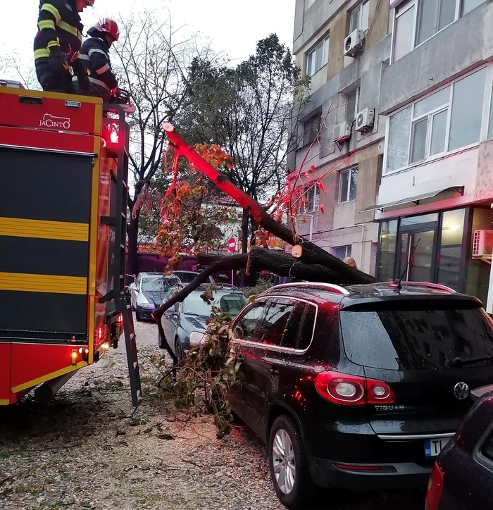 Mașină avariată de un copac rupt de vijelie la Babadag. FOTO ISU Tulcea