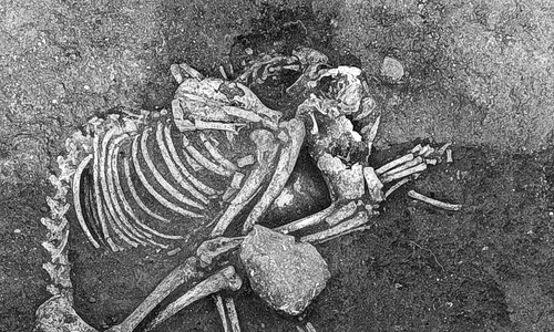 Înmormântarea unui câine din Epoca Fierului, la Cirpan, în Bulgaria (© Stella Nikolova / Live Science)