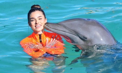 Theo Rose poza mica (8) jpg