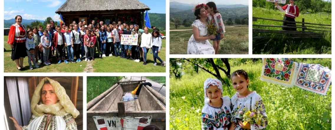 ie vrancea