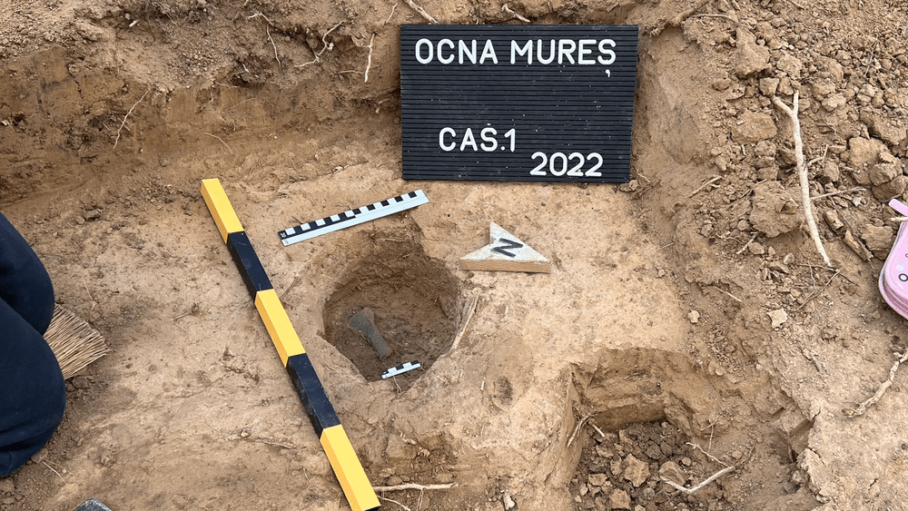 Topoare vechi de 3.000 ani, descoperite în Alba. Au fost găsite cu detectorul de metale într-o pădure de lângă Ocna Mureș