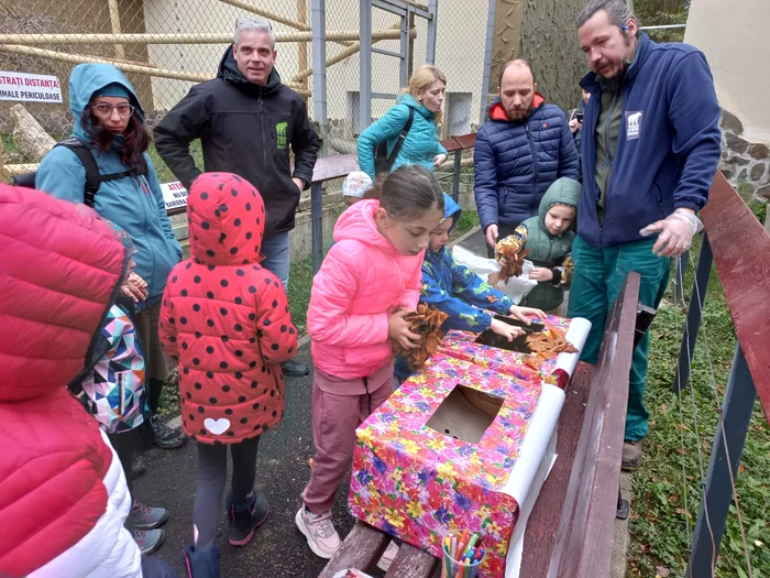 Ziua Internațională a Leopardului Zăpezilor FOTO Ioan Buciumar