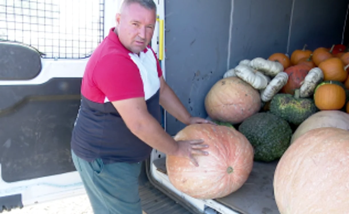 Uriaşii lui Ionel Horhocea au cel mult 150 de kilograme