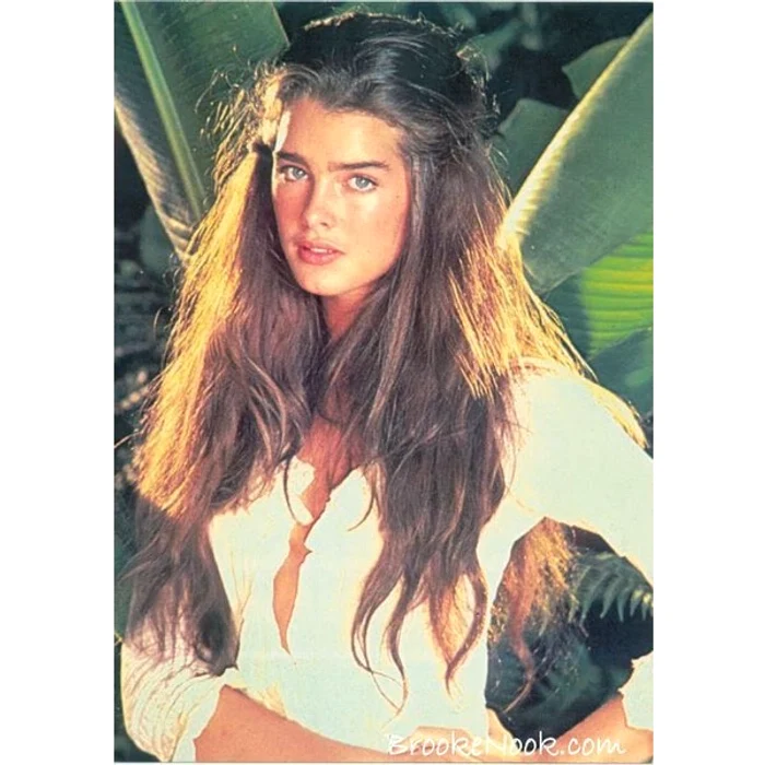 brooke shields jpeg