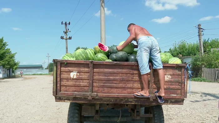 Arhivă adevarul.ro