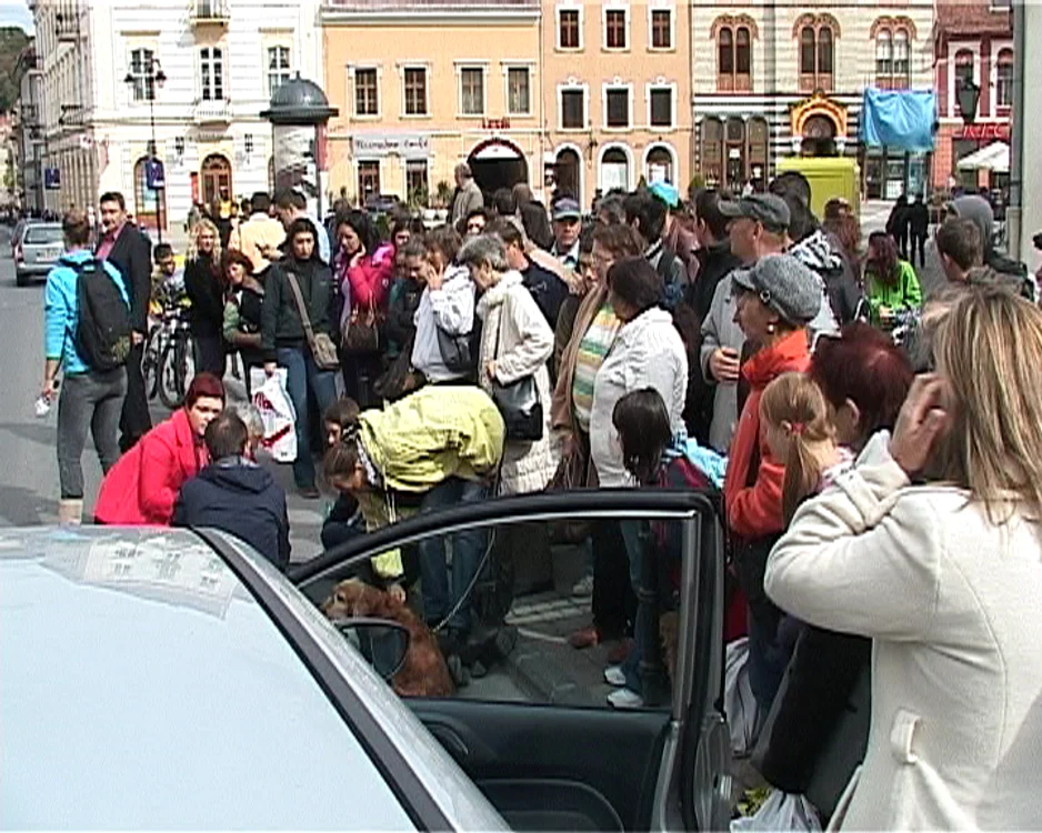 brasov
