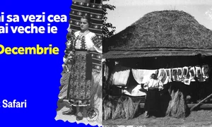 Cea mai veche ie Art Safari jpg