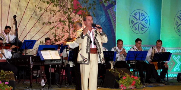 slobozia nicolae rotaru artist din Baragan FOTO albesteanu.ro