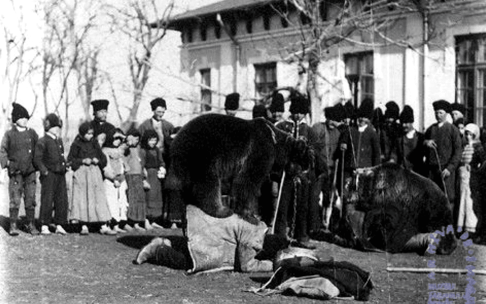 Tradiții populare și superstiții de Ziua Ursului. Ce se întâmplă de Ziua Şarpelui