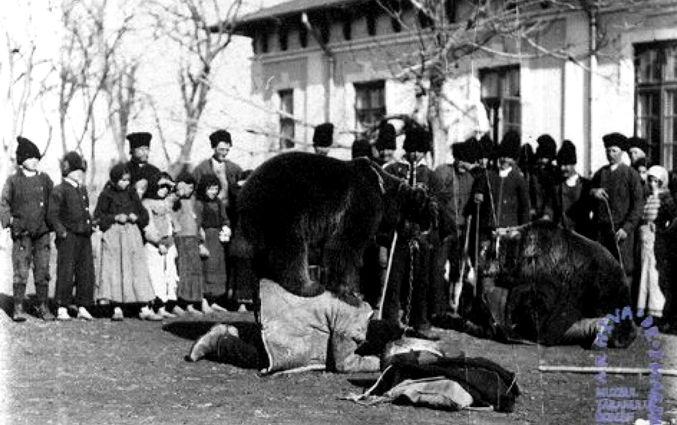 Ursul, animalul de care se lagă numeroase obiceiuri la români. FOTO arhivă Adevărul