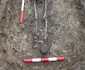 Descoperiri arheologice într-o necropolă sarmatică din Timișoara (© Direcția Județeană de Cultură Timiș)