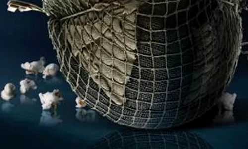 20 de tineri din Republica Moldova si Ucraina la Scoala de Vara „Istorie si Cinema in Basarabia“ jpeg